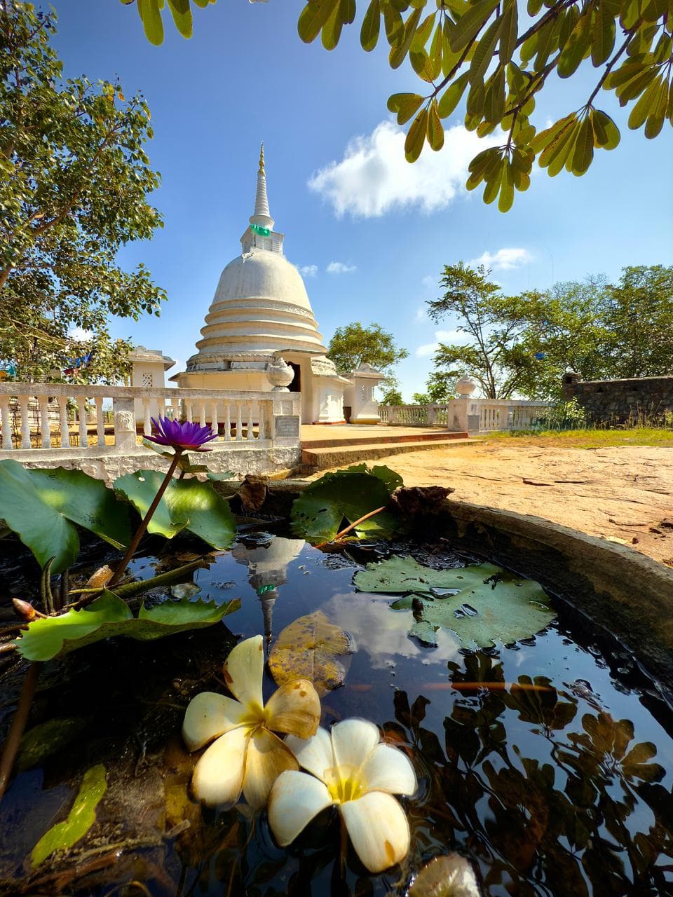 Placeholder Mountain View